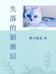 《失落的银渐层》小说封面