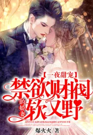 《一夜甜宠：禁欲财阀的娇妻软又野》小说封面