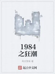 《1984之狂潮》小说封面