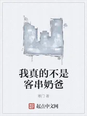 《我真的不是客串奶爸》小说封面