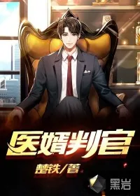 《医婿判官》小说封面