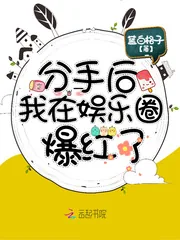 《分手后我在娱乐圈爆红了》小说封面