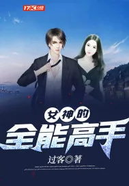 《女神的全能高手》小说封面