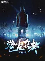 《潜龙在都》小说封面