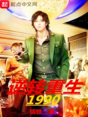 《逆转重生1990》小说封面