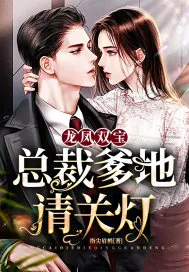 《龙凤双宝：总裁爹地请关灯》小说封面