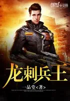 《龙刺兵王》小说封面