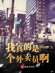 《我真的是一个外卖员啊》小说封面