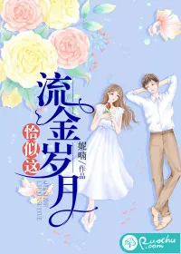 《恰似这流金岁月》小说封面