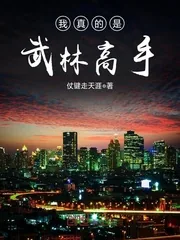 《从武林高手到娱乐巨星》小说封面