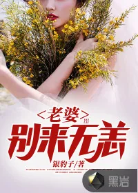 《老婆，别来无恙》小说封面
