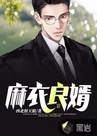 《麻衣良婿》小说封面