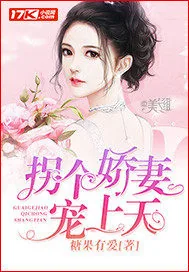 《拐个娇妻宠上天》小说封面