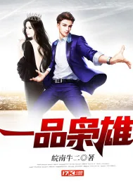 《一品枭雄》小说封面