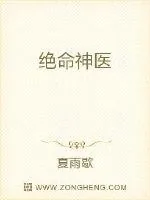《绝命神医》小说封面