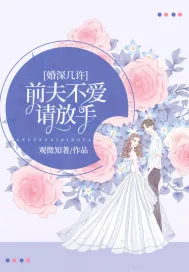 《婚深几许:前夫不爱请放手》小说封面