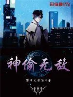 《神偷无敌》小说封面