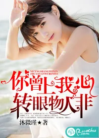 《你曾上我心，转眼物人非》小说封面