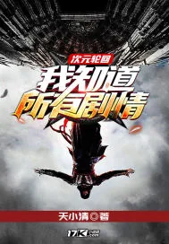 《次元轮回:我知道所有剧情》小说封面