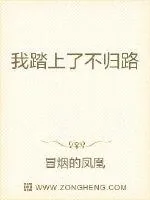 《我踏上了不归路》小说封面
