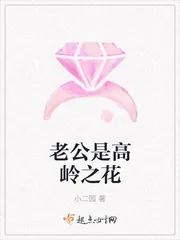 《老公是高岭之花》小说封面