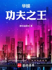 《华娱：功夫之王》小说封面