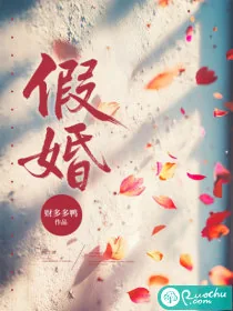 《假婚》小说封面