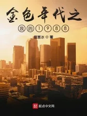 《金色年代之我的1988》小说封面