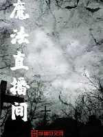 《魔法直播间》小说封面