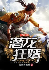 《潜龙狂婿》小说封面