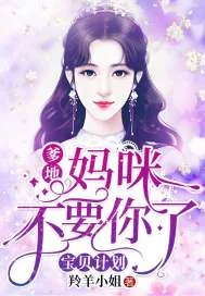 《宝贝计划：爹地，妈咪不要你了》小说封面