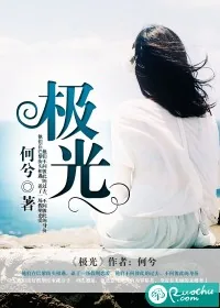 《极光》小说封面