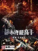 《都市终极高手》小说封面
