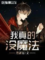 《我真的没魔法》小说封面