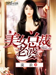 《美女总裁老婆》小说封面