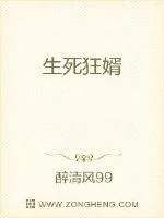 《重生狂婿》小说封面