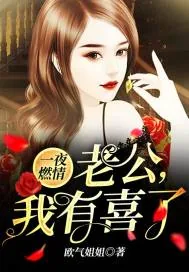 《一夜燃情：老公，我有喜了》小说封面