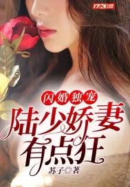 《闪婚独宠：陆少娇妻有点狂》小说封面