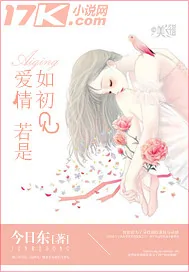 《爱情若是如初见》小说封面