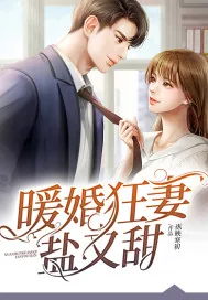 《暖婚狂妻盐又甜》小说封面