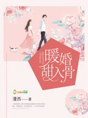 《暖婚甜入骨》小说封面
