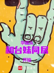 《华娱：从和台妹同居开始》小说封面