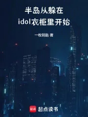 《半岛：从躲在idol衣柜里开始》小说封面