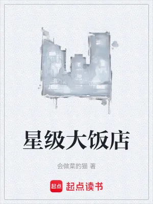 《我的天，他做菜会发光》小说封面