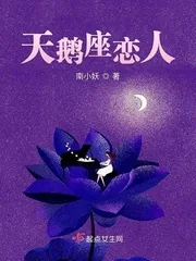 《天鹅座恋人》小说封面