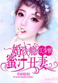 《一婚成瘾：江少的蜜汁丑妻》小说封面