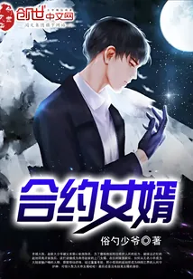 《合约女婿》小说封面
