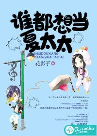 《谁都想当夏太太》小说封面