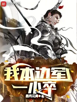《我本边军一小卒》小说封面