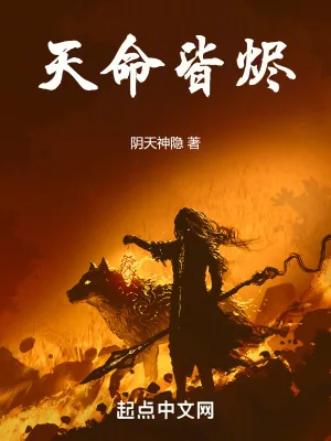 《天命皆烬》小说封面